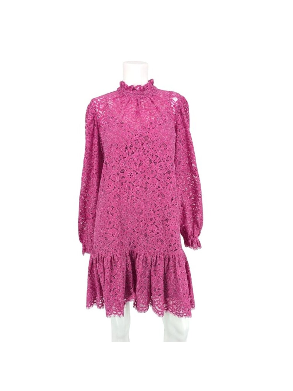 J.Crew Floral Lace Ruffle Mini Dress Sheer High Neck Puff Sleeve Cottage Small